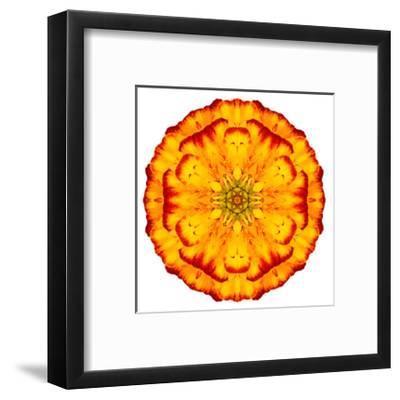 Concentric Marigold Logo - Beautiful Tr3gi Flowers Decorative Art Framed Posters Artwork