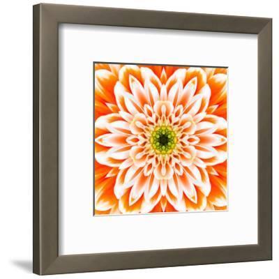Concentric Marigold Logo - Beautiful Tr3gi Flowers Framed Posters Artwork, Posters