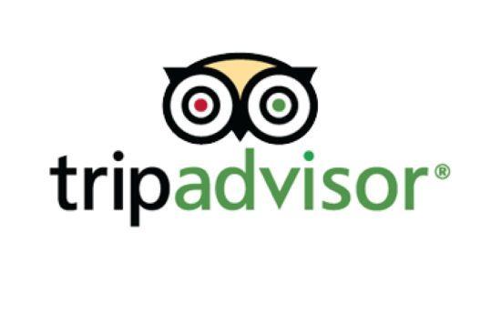 TripAdvisor App Logo - TripAdvisor now World's most popular mobile app