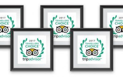 TripAdvisor App Logo - TripAdvisor Awards and Recognitions
