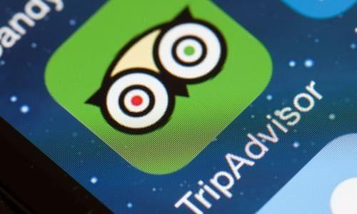 TripAdvisor App Logo - How TripAdvisor changed travel | News | The Guardian