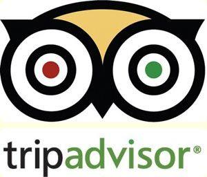 TripAdvisor App Logo - TripAdvisor is now world's second most downloaded travel app after