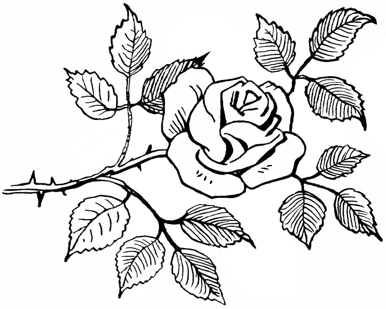 Easy Black and White Rose Logo - Free Black And White Rose Drawings, Download Free Clip Art, Free ...