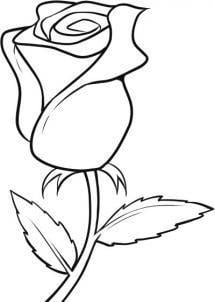 Easy Black and White Rose Logo - how to draw a white rose step 6 | Doodle | Drawings, Art, Flowers