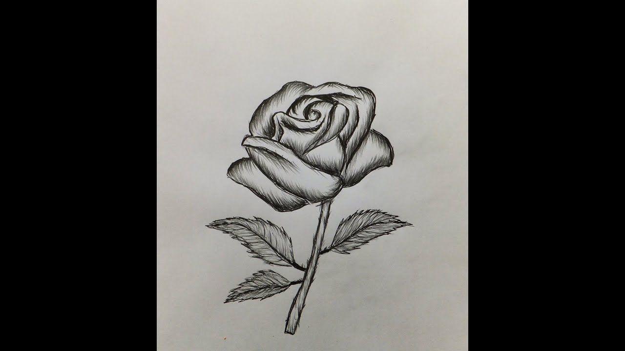 Easy Black and White Rose Logo - How to draw a Rose-Easy for beginners - YouTube