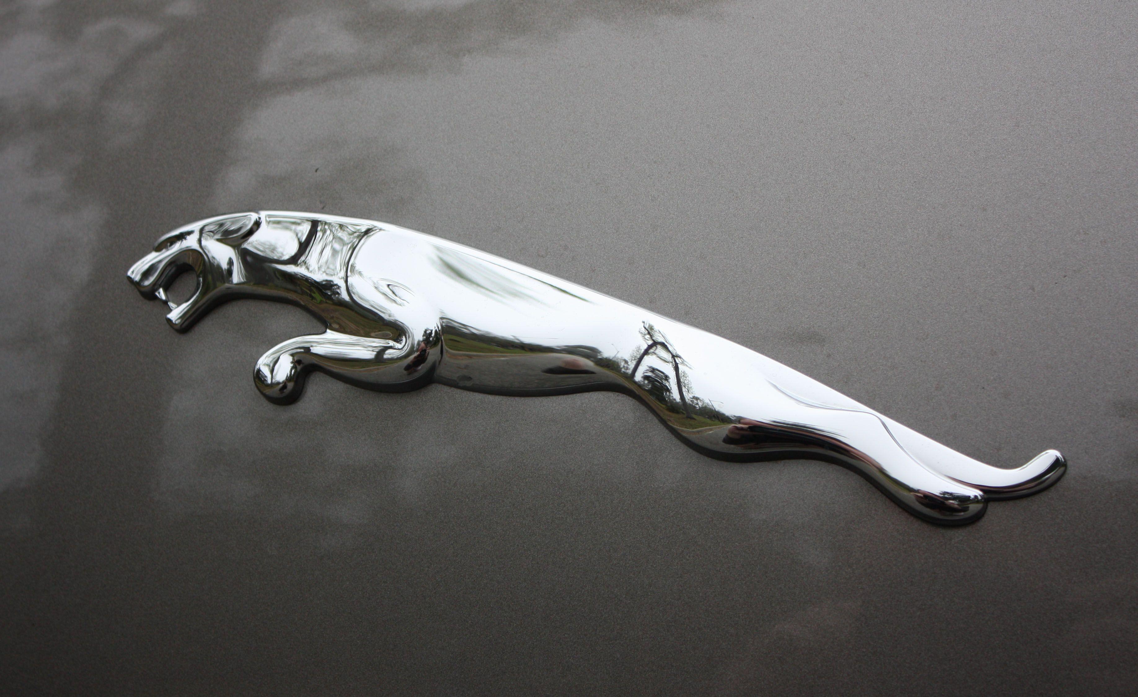 Jaguar Car Logo LogoDix