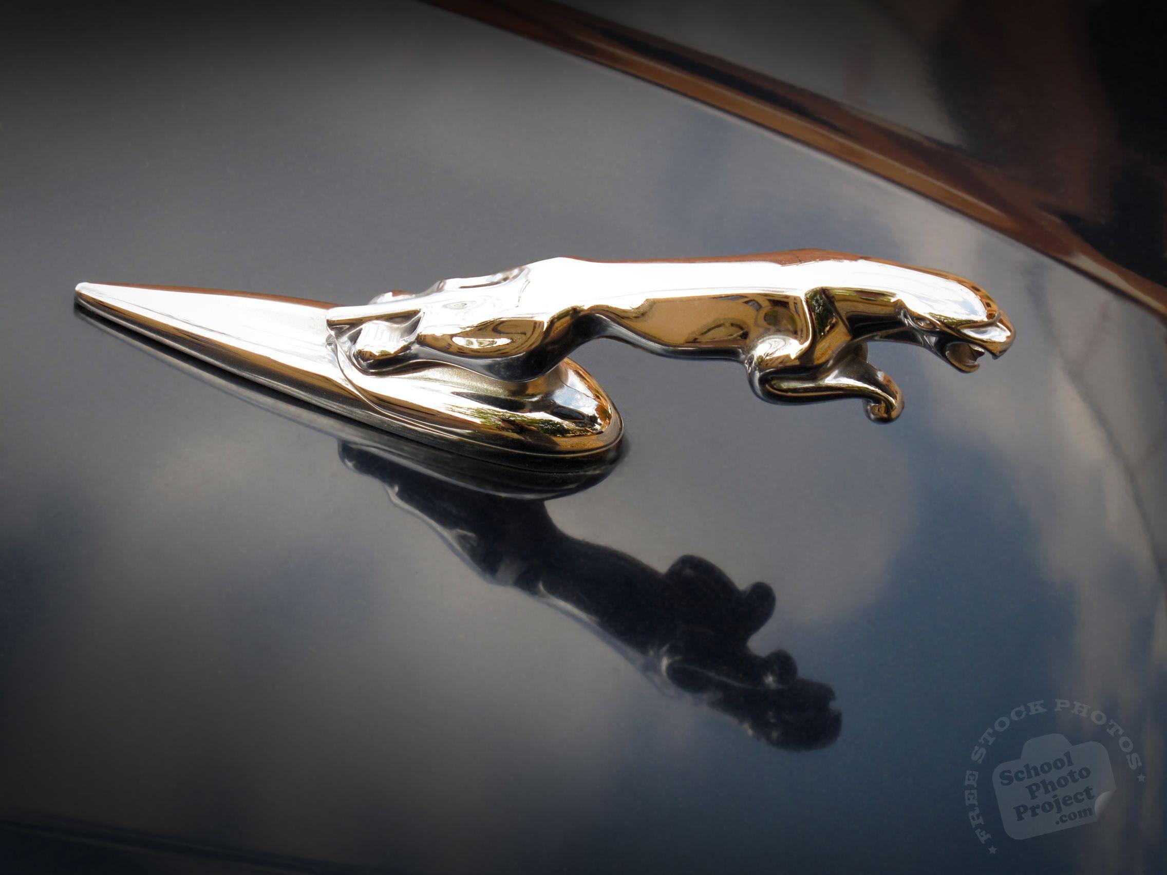 Jaguar Car Logo - Jaguar Logo, FREE Stock Photo, Image, Picture: Jaguar Logo Brand ...