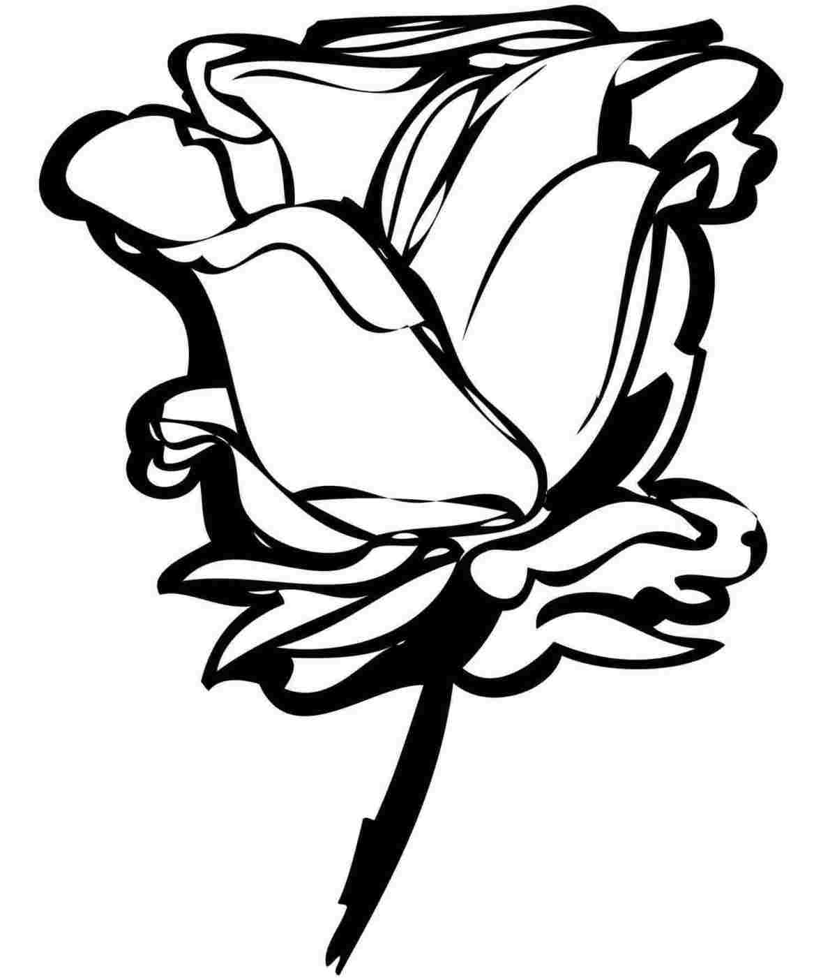 Easy Black and White Rose Logo - White-rose-outline-drawing-google-search-tattoos-pinterest ...