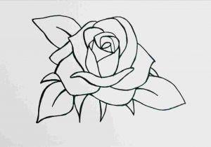 Easy Black and White Rose Logo - White-rose-outline-drawing-google-search-tattoos-pinterest ...