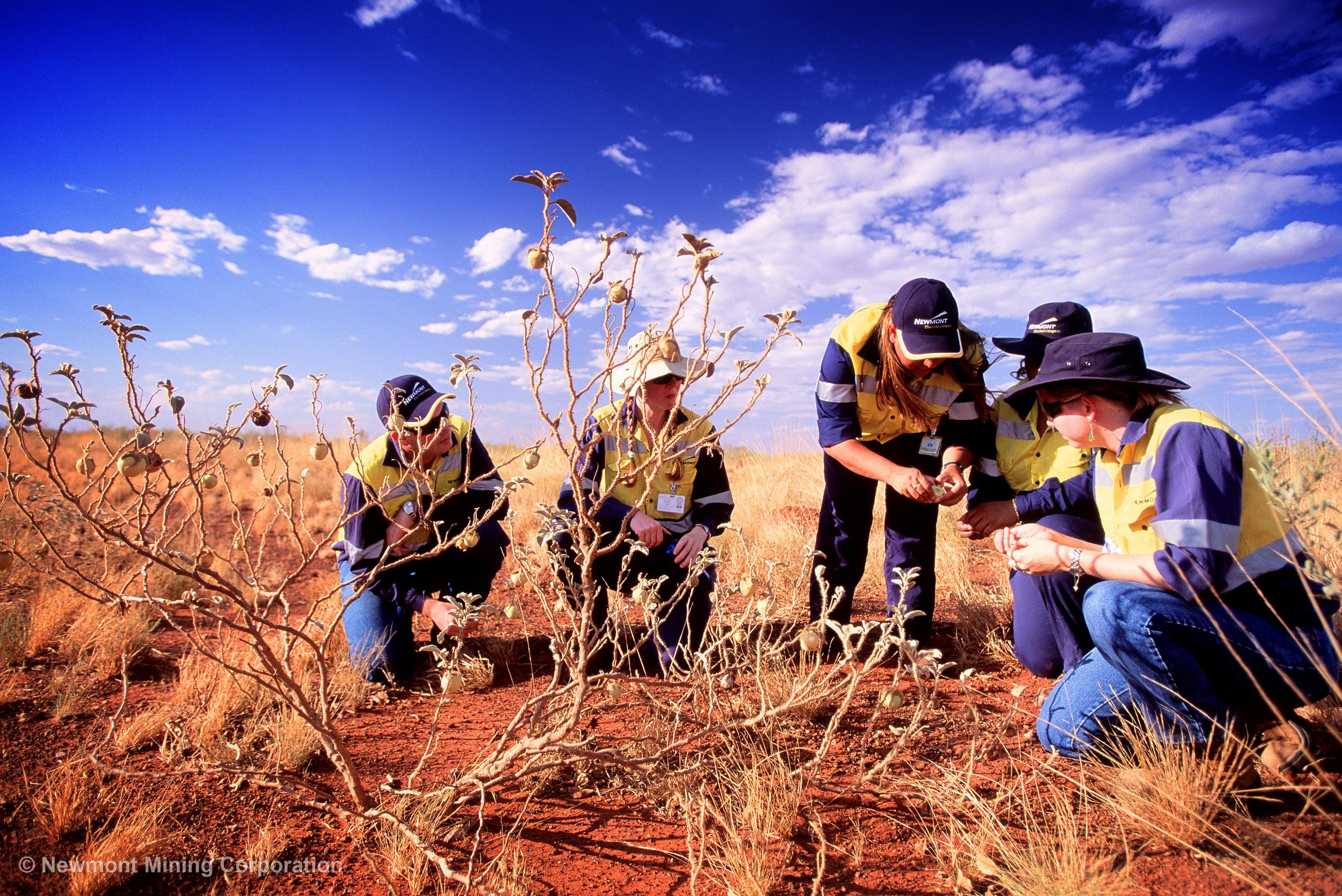 Newmont Mining Logo - Newmont Mining - Resources - Multimedia