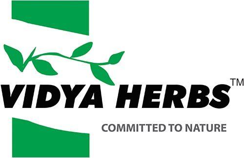 Vidya Logo - APEA / / VIDYA-LOGO &MDASH; ASIA PACIFIC ENTREPRENEURSHIP AWARDS