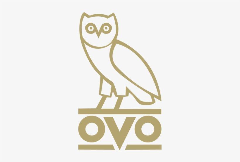 Ovo Logo - Ovo Logos Bing Images - Drake Ovo Owl Transparent PNG - 304x500 ...