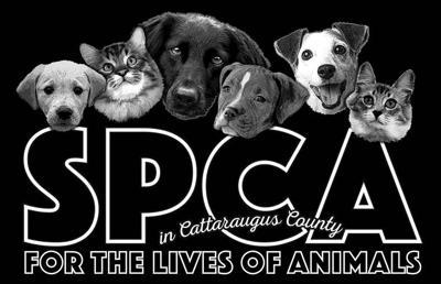 Dog with the End Logo - SPCA: Patient Work Can Put An End To Dog's Leash Pulling. News
