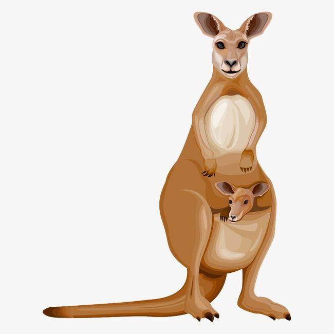 Cartoon Kangaroo Logo - Cartoon Kangaroo, Cartoon Clipart, Kangaroo Clipart, Cartoon Comics