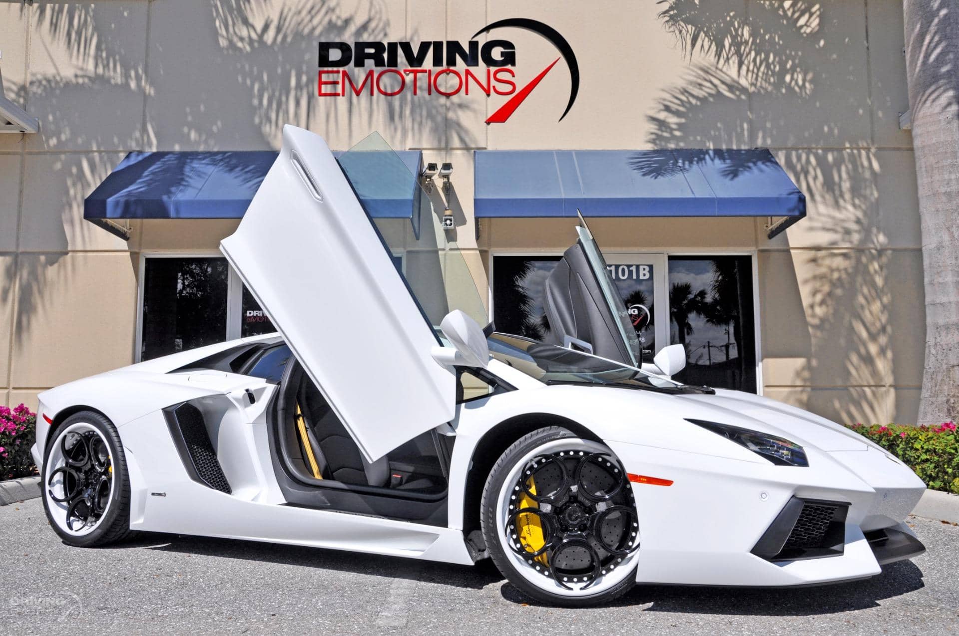 Exotic Luxury Car Logo - Driving Emotions - Palm Beach, FL | Exotic & Luxury Car Dealership ...