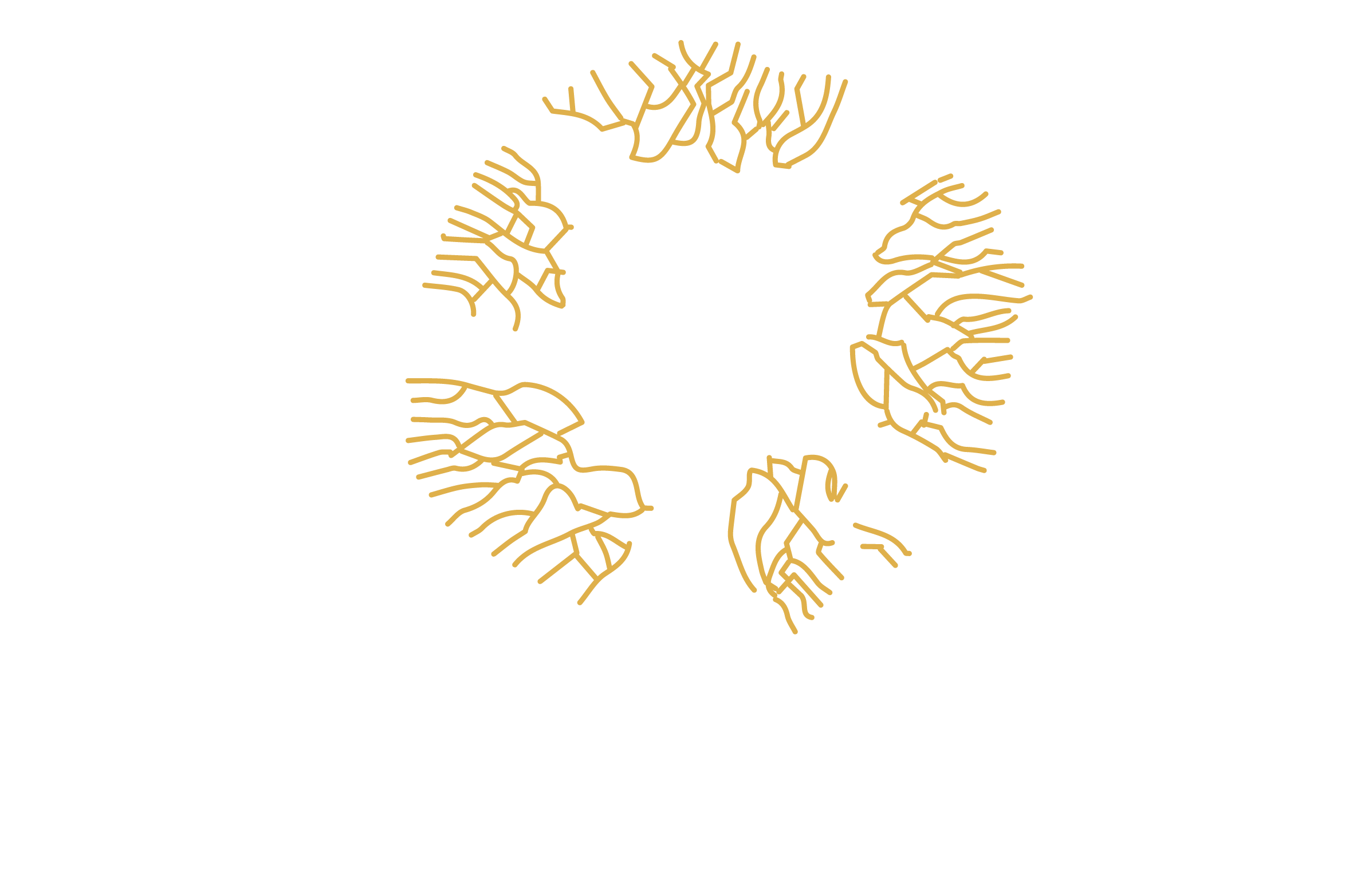 Leadership Orange Logo - Bio-Leadership | Leading Change with Nature