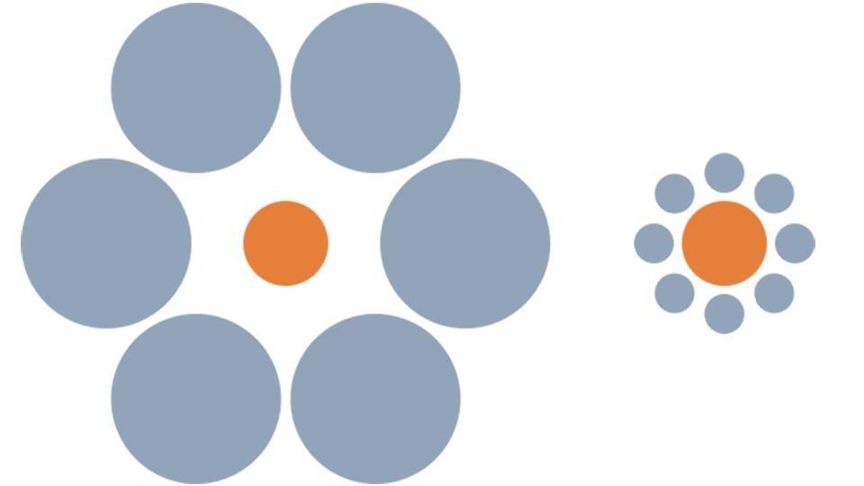 What's the Orange Circle Logo - Urban living and access to schooling shapes how kids perceive size