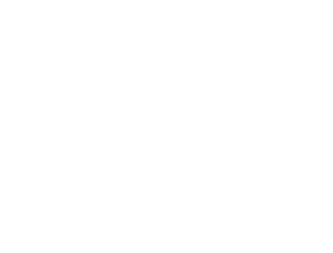 Silver Lion Logo - Silver Lion Trade Services. Freight & Logistics Solutions