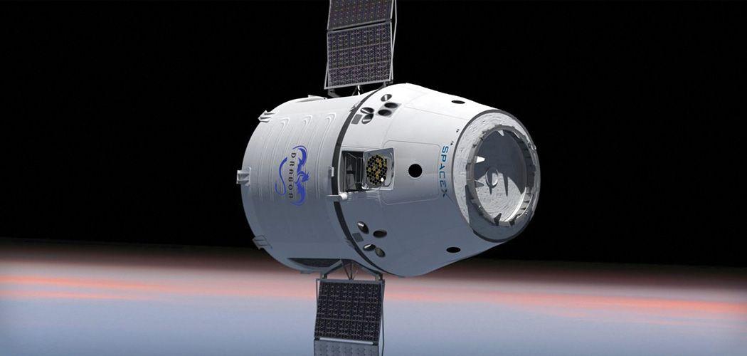 SpaceX Dragon Logo - Dragon