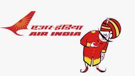 Indian Airways Logo - About Air India
