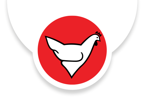 Chicken Logo - Home - Rainbow Chickens