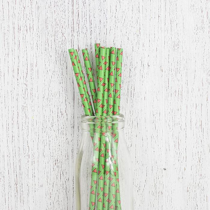 Plant Green and Red Triangle Logo - Green & Red Triangle Paper Straws - My Wedding Store