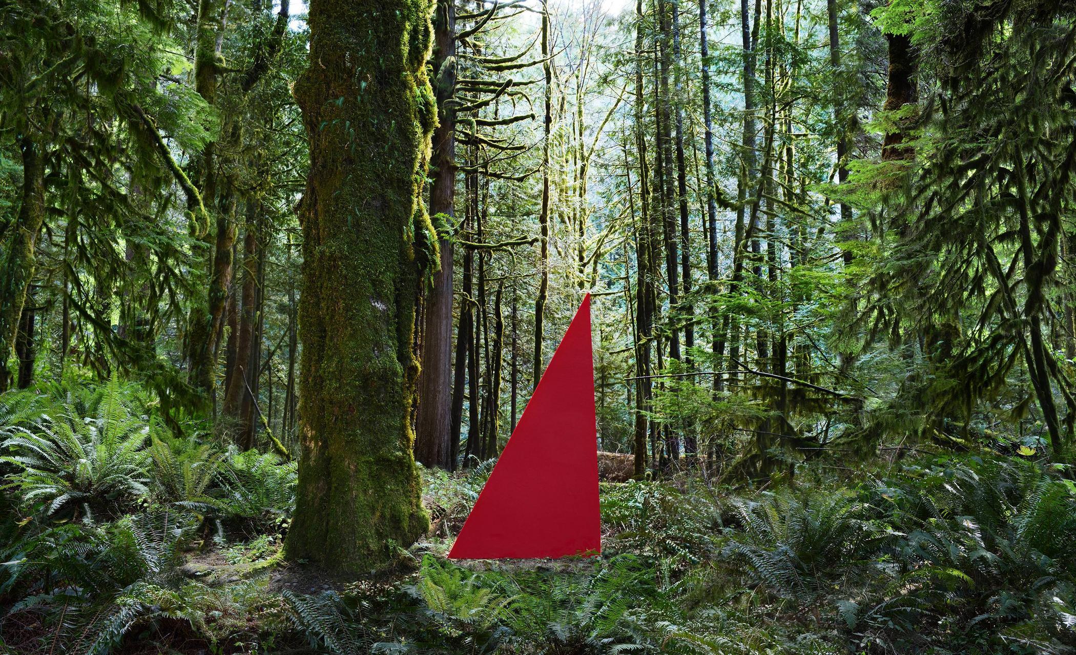 Plant Green and Red Triangle Logo - North Bend Red Triangle, 2014 - Winston Wachter Fine Art - Seattle