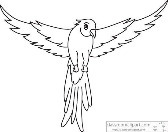 Green with White Outline Logo - Animals Clipart Green Parrot Open Wings Black White Outline 914