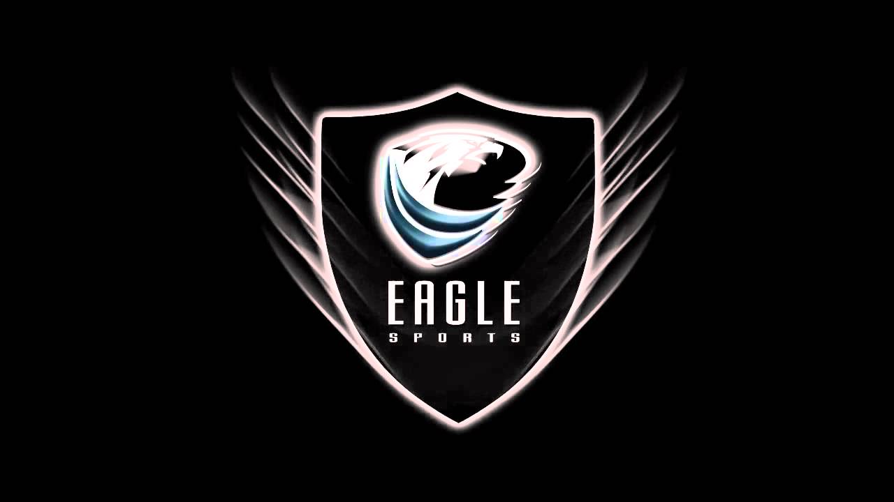 Best Sports Logo - Best Logo Reveal & Motion Graphics - Eagle Sports - YouTube