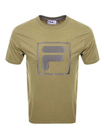 Green Box F Logo - Fila Mens Alexis Tonel Twill F Box T-Shirt in Drygrass Green: Amazon ...
