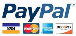 Secure PayPal Logo - PayPal Logos | FindThatLogo.com