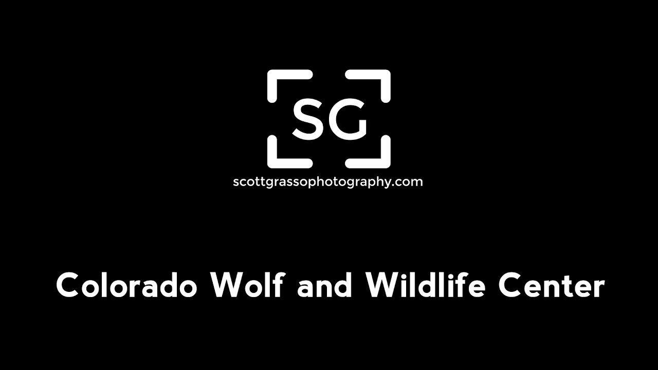 Colorado Wolf Logo - SG Photo Goes to the Colorado Wolf and Wildlife Center - YouTube Gaming