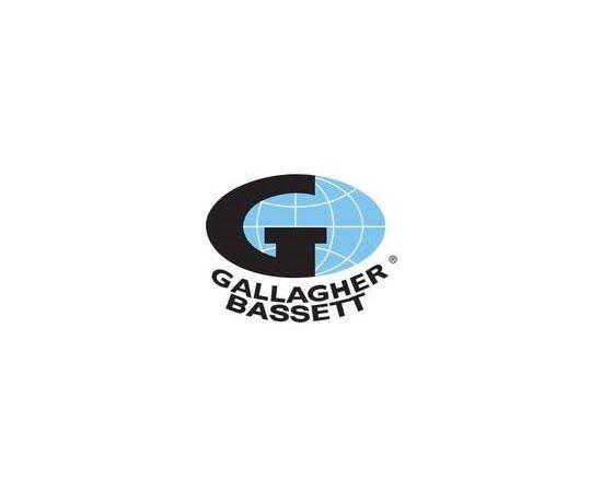 Gallagher Bassett Guide Guard Logo - Gallagher Bassett | iCare Foundation