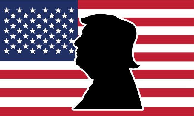 Patriotic Flag Logo - Confederate Flag Trump President Silhouette