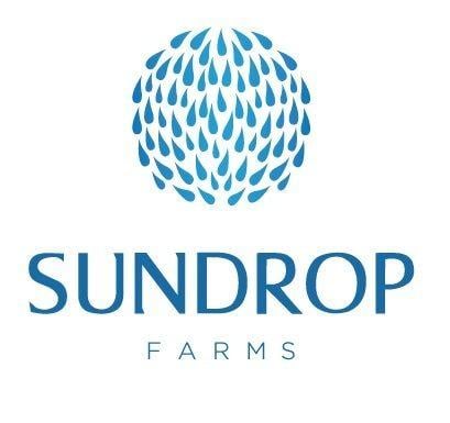 Sun Drop Logo - KKR Partners with Sundrop Farms – Groundbreaking Arid Climate ...