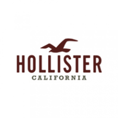 Casual Clothing Specialty Retailer Logo - Manager in Training Graduate Program - Hollister | SouthGate Bath ...