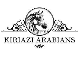 Horse Stable Logo - Design a logo for Arabian Horse Stable. | Freelancer