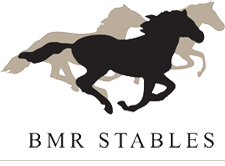 Horse Stable Logo - BMR Stables