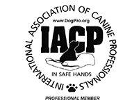 IACP Logo - IACP-Logo-Professional - Dog Ventures