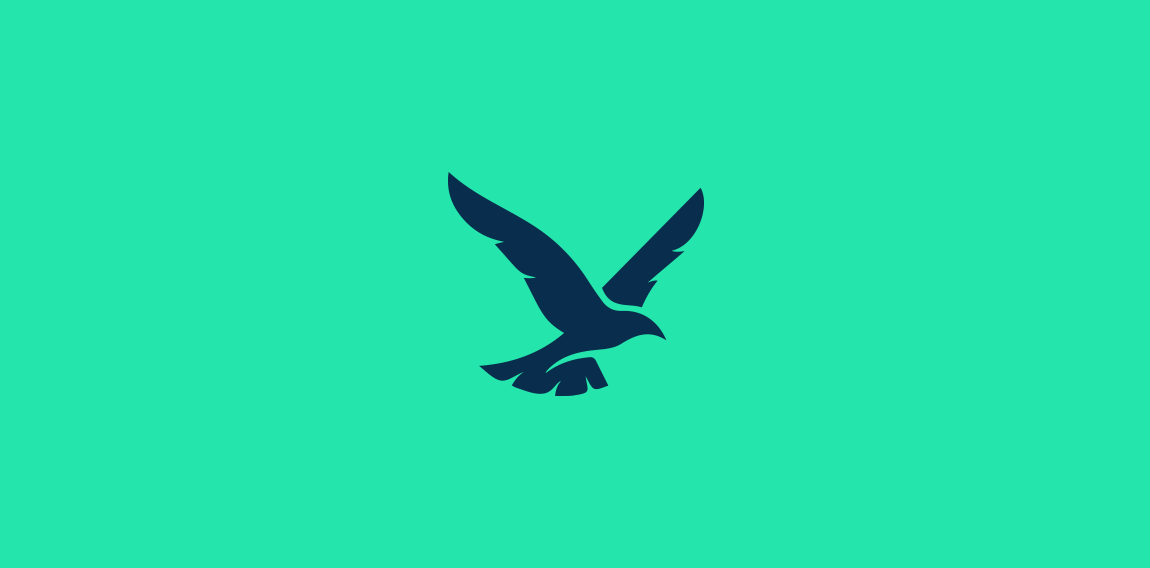 Birds Animal Logo - clean