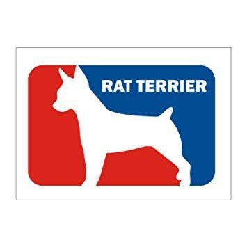 Rat Sports Logo - Teeburon Rat Terrier Sports Logo Pack of 4 Stickers