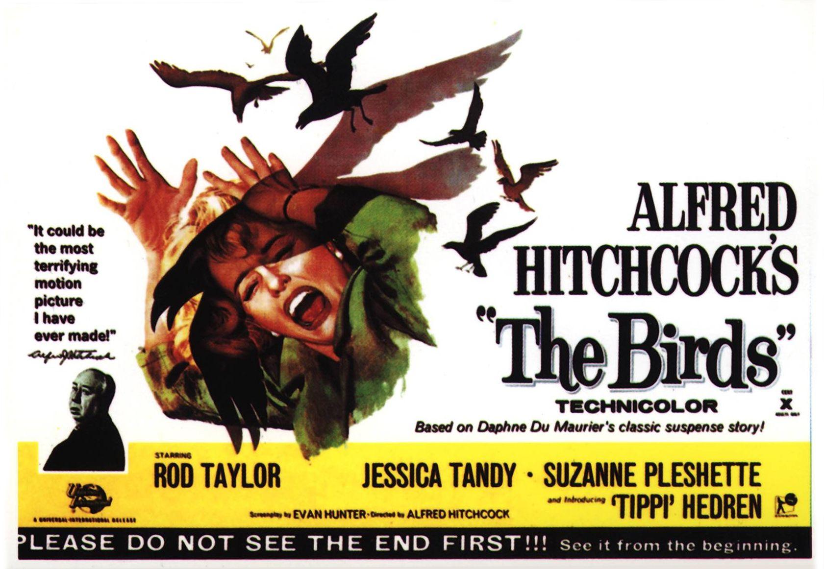 Hitchcock the Birds Logo - Classic Review: The Birds (1963) | Reviewing the past, present and ...