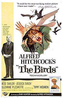 Alfred Hitchcock's the Birds Logo - The Birds (film)
