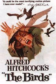 Hitchcock the Birds Logo - Alfred Hitchcock's “THE BIRDS” Visits The Lighthouse 10 26 8:30p