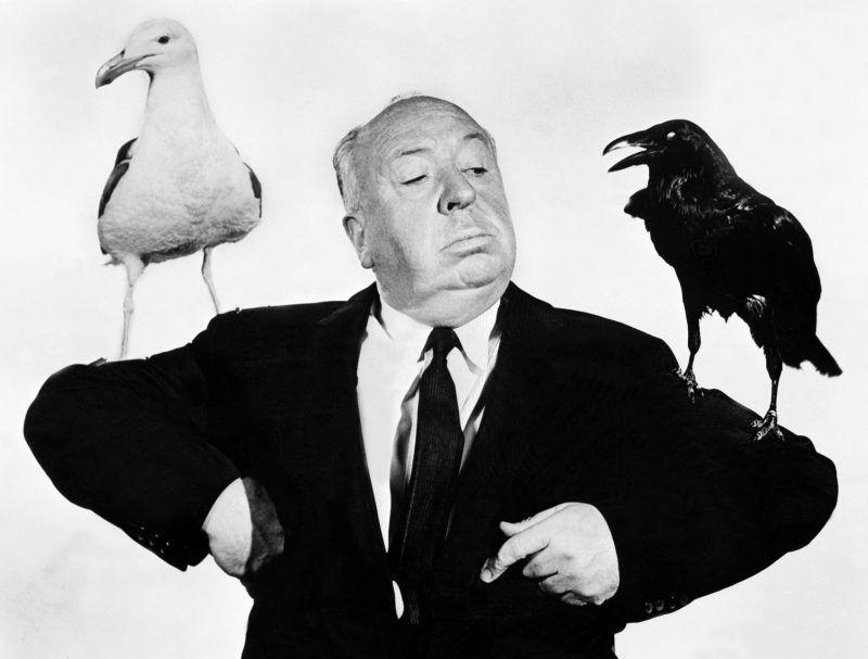Hitchcock the Birds Logo - Spooky Facts You Didn't Know About Hitchcock's The Birds - Arthouse ...