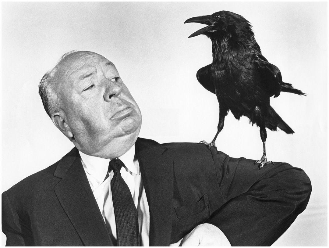 Hitchcock the Birds Logo - Sounds of The Birds (1963) – Alfred Hitchcock. – Celluloid Wicker Man