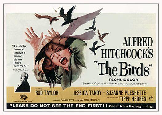 Hitchcock the Birds Logo - The Birds | Bethel Woods Center for the Arts