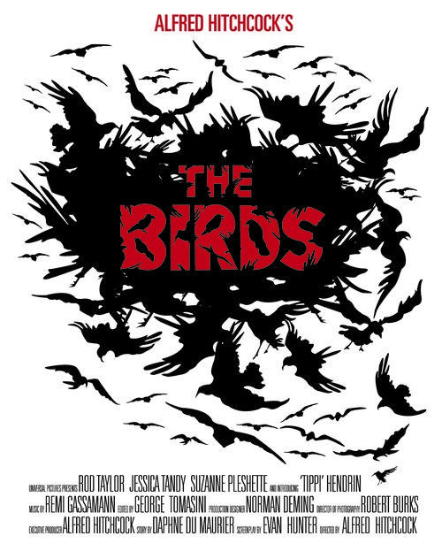 Hitchcock the Birds Logo - Hayden Justice Roma