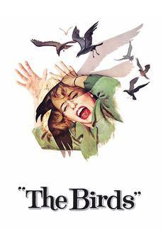 Alfred Hitchcock's the Birds Logo - The Birds (1963) directed by Alfred Hitchcock • Reviews, film + cast ...