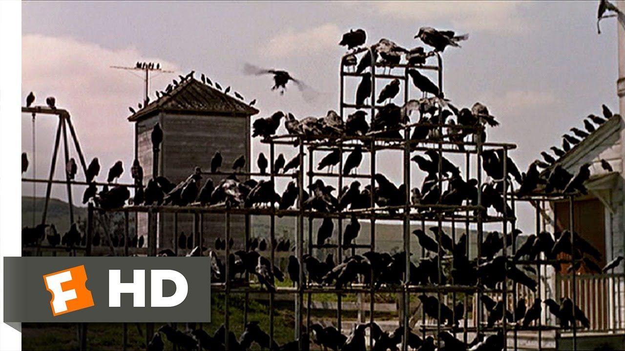 Alfred Hitchcock's the Birds Logo - Crows on the Playground - The Birds (5/11) Movie CLIP (1963) HD ...